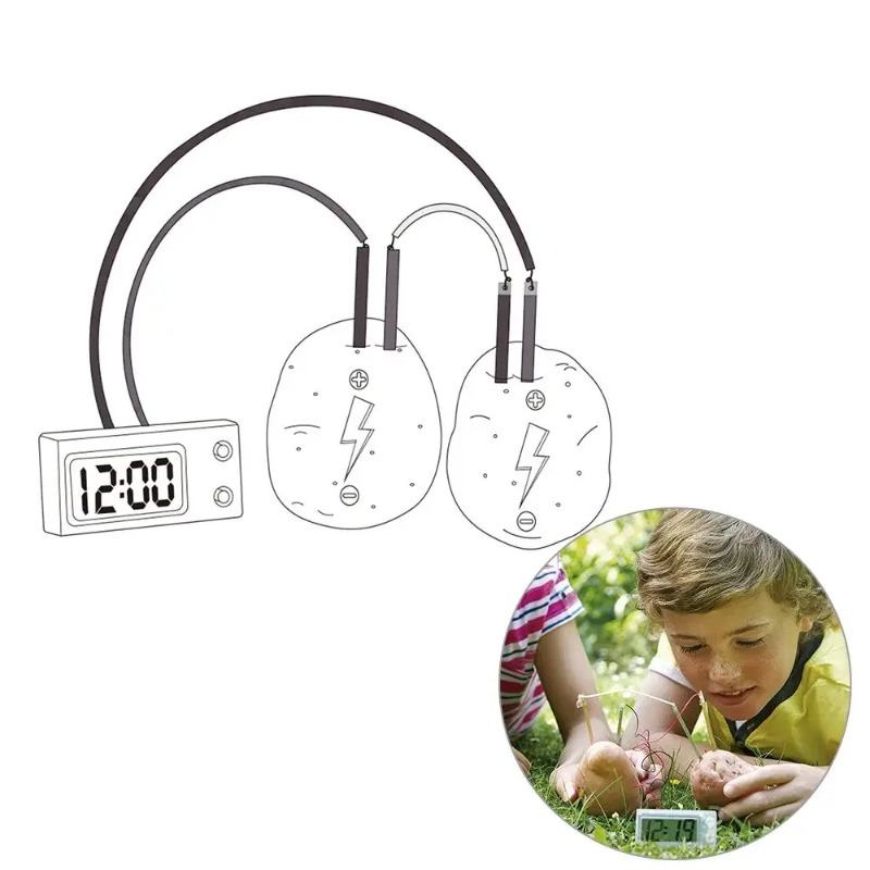 ของเล่นเด็กใหม่ มอนเตสซอรี่ ขอ - Science Nature บทวิจารณ์และราคา