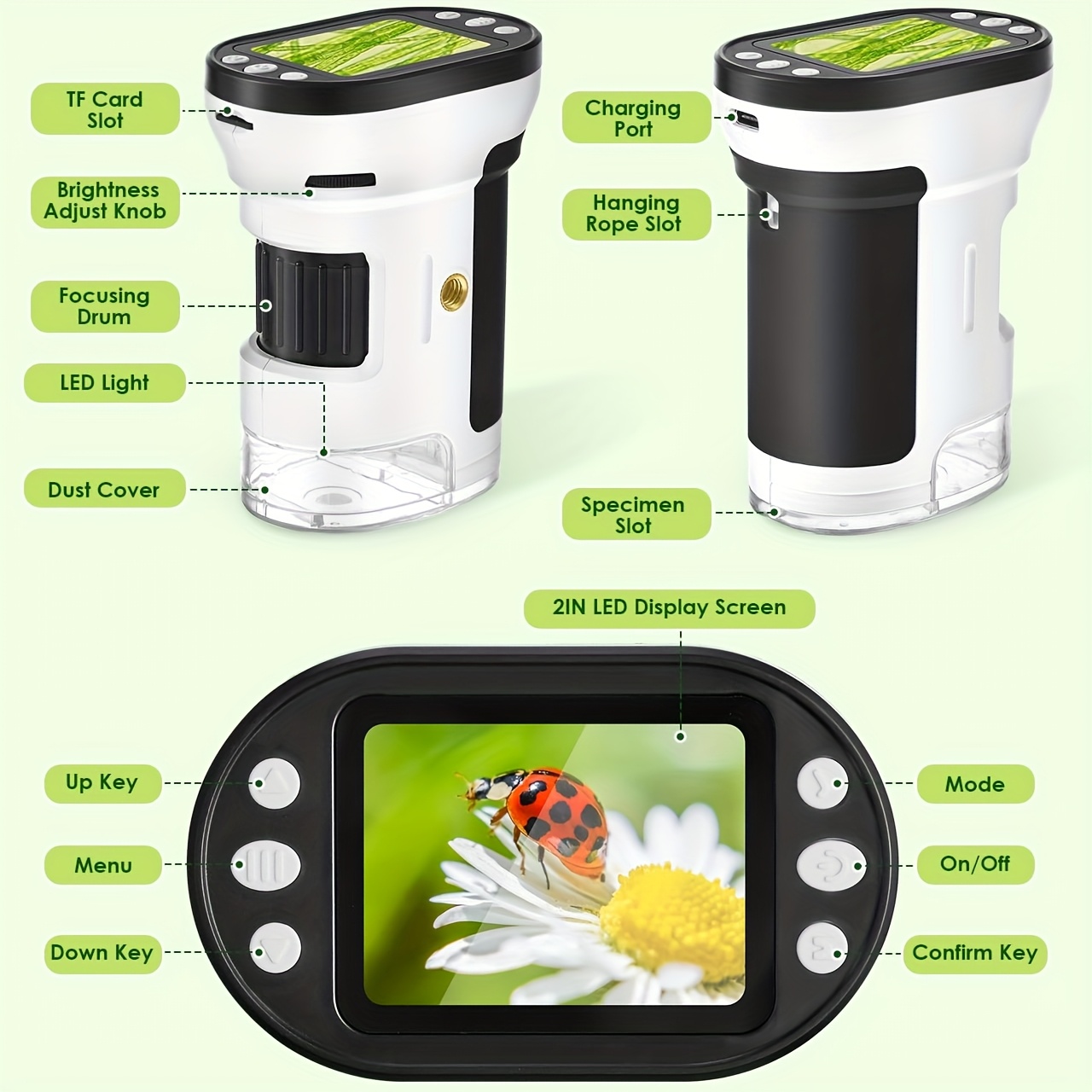 ชุดกล้องจุลทรรศน์สำหรับเด็ก ขย - Science Max บทวิจารณ์และราคา